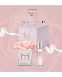 ROSA  E CIPRIA  Rosa in vaso Bianco + Profumo per Fiore 15 ml