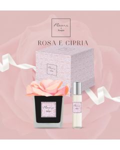 ROSA  E CIPRIA  Rosa in vaso Nero + Profumo per Fiore 15 ml